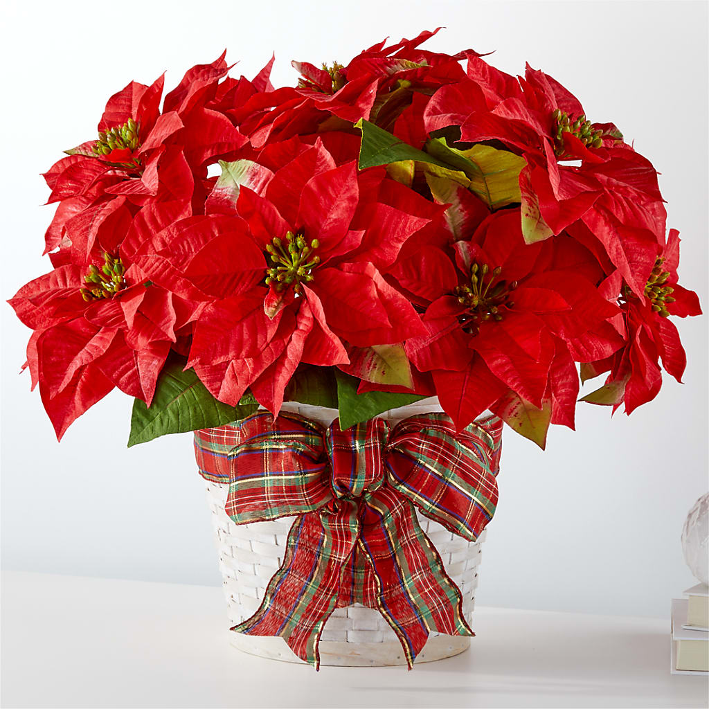 Happiest Holidays Poinsettia – The Colonial Florist And Gift Shop, Huntingdon PA