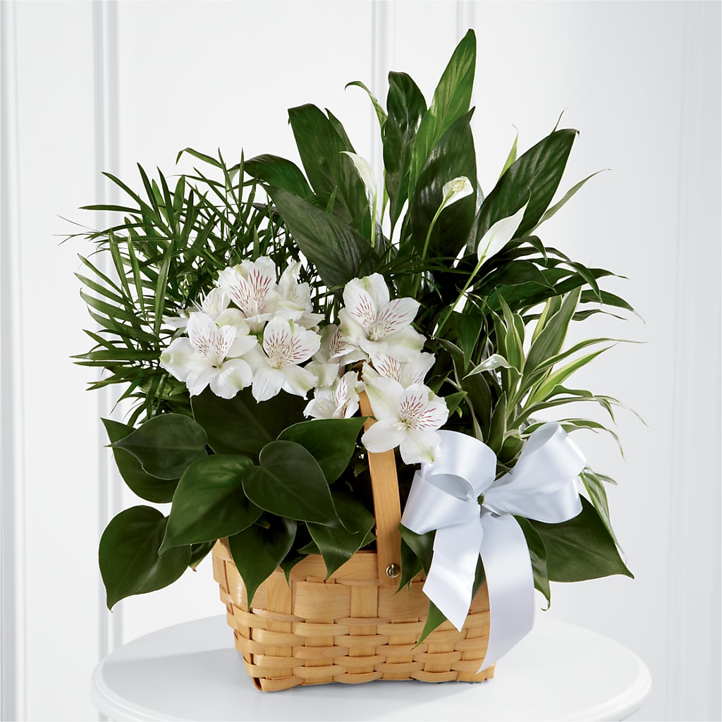 Peace & Serenity Dishgarden – The Colonial Florist And Gift Shop, Huntingdon PA
