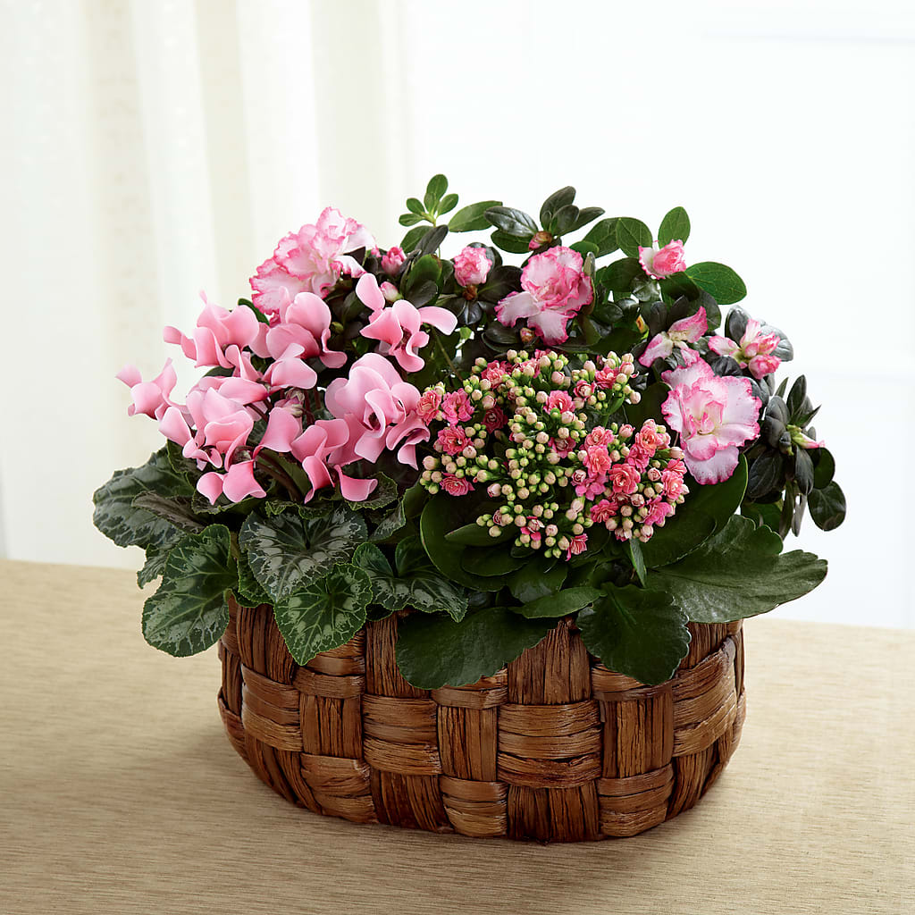 Pink Assortment – The Colonial Florist And Gift Shop, Huntingdon PA