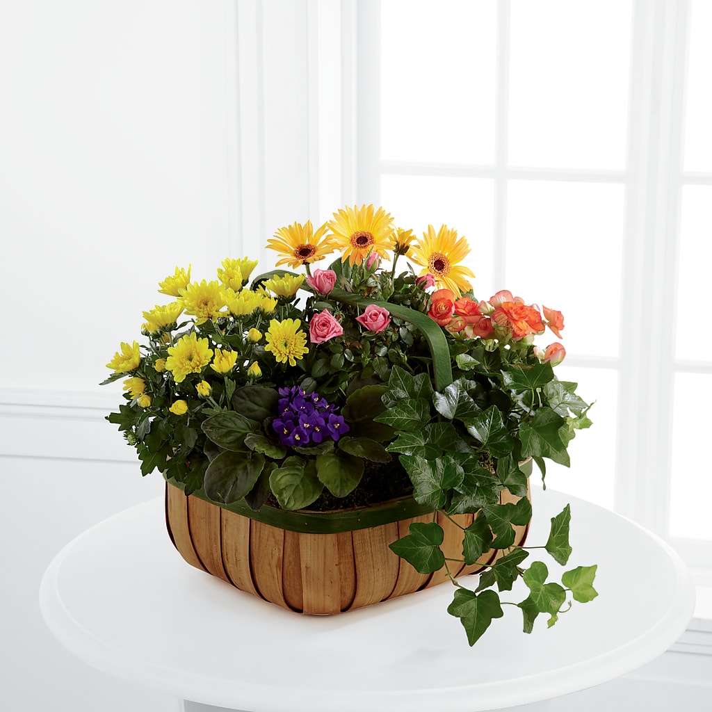 Gentle Blossoms Basket – The Colonial Florist And Gift Shop, Huntingdon PA