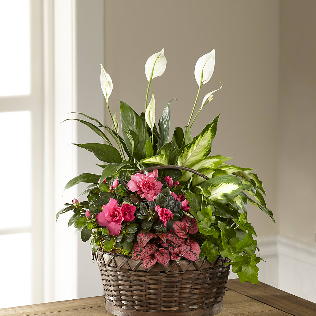 Dream in Pink Dishgarden – The Colonial Florist And Gift Shop, Huntingdon PA