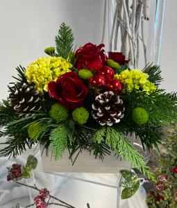Colonials Christmas Box