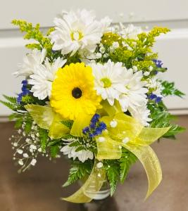Colonials Daisys and Yellow Gerb – The Colonial Florist And Gift Shop, Huntingdon PA