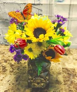Sunny Sentiments – The Colonial Florist And Gift Shop, Huntingdon PA