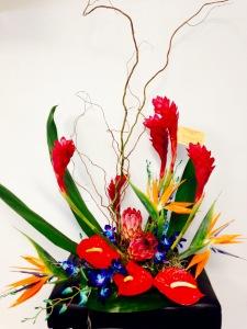 Tropical beauty – The Colonial Florist And Gift Shop, Huntingdon PA