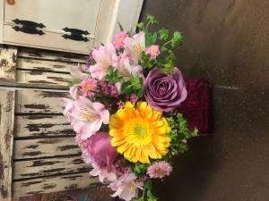 Colonial Color Essence