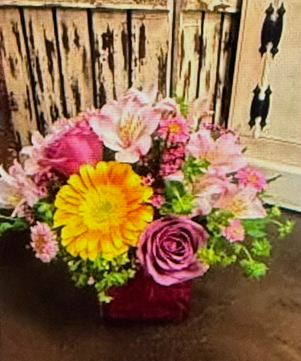 Colonial Color Essence – The Colonial Florist And Gift Shop, Huntingdon PA