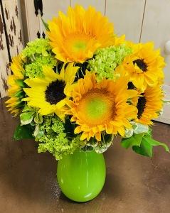 Colonial Lemon-Lime – The Colonial Florist And Gift Shop, Huntingdon PA