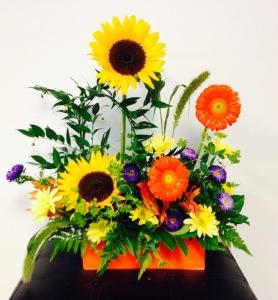 Fall aglow – The Colonial Florist And Gift Shop, Huntingdon PA