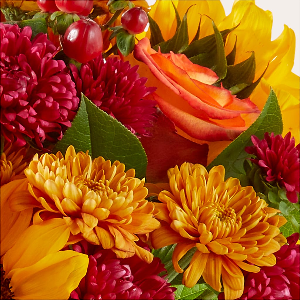 Sweater Season - A Florist Original – The Colonial Florist And Gift Shop, Huntingdon PA
