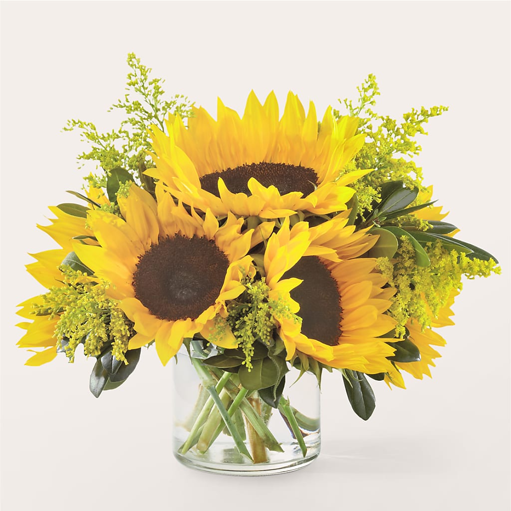Beaming Sunflower Bouquet – The Colonial Florist And Gift Shop, Huntingdon PA