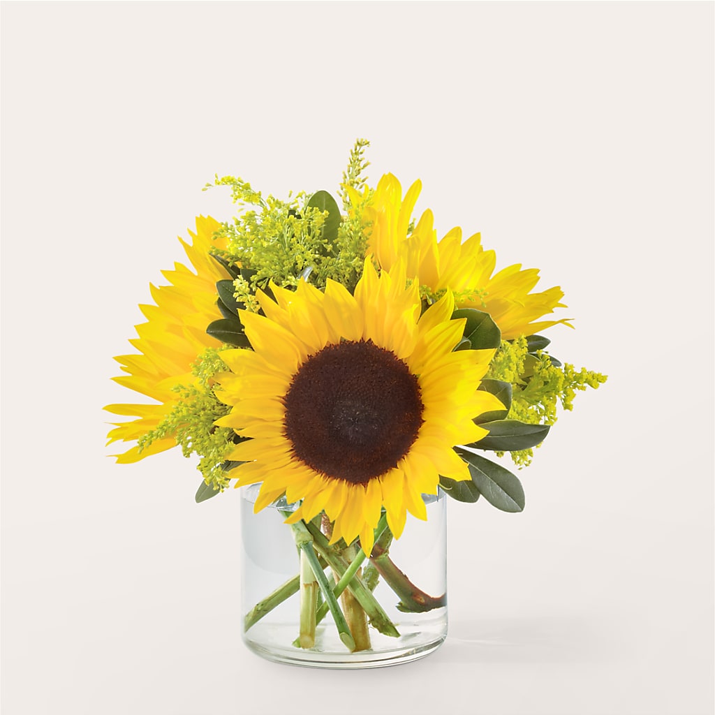 Beaming Sunflower Bouquet – The Colonial Florist And Gift Shop, Huntingdon PA