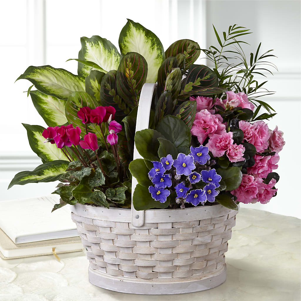 Peaceful Garden Planter – The Colonial Florist And Gift Shop, Huntingdon PA