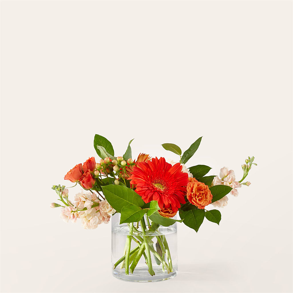 Paloma Please Bouquet – The Colonial Florist And Gift Shop, Huntingdon PA