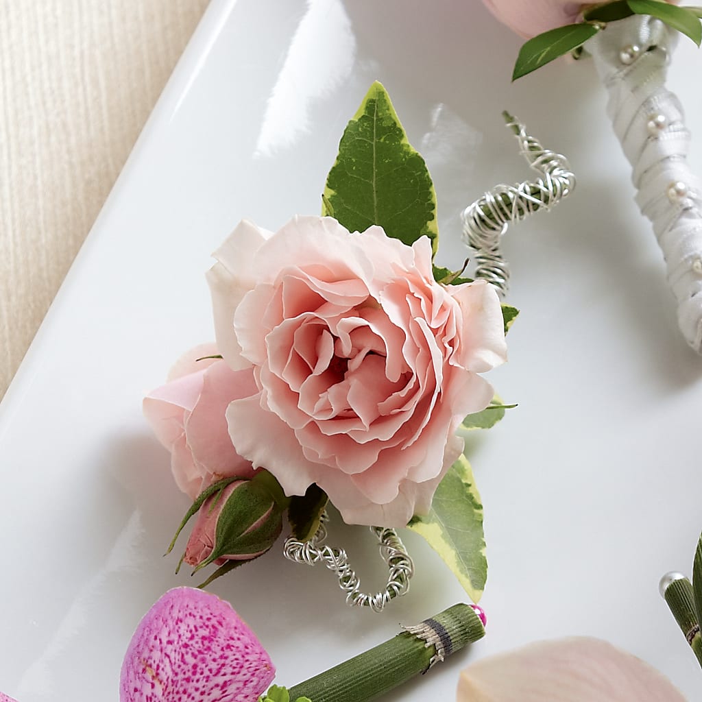 Pink Spray Rose Boutonniere – The Colonial Florist And Gift Shop, Huntingdon PA