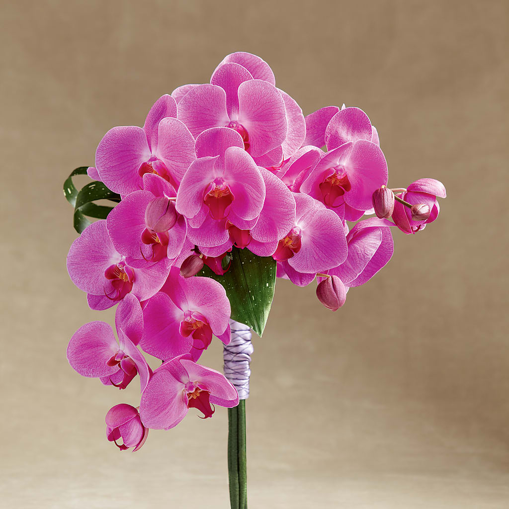 Glorious Bouquet – The Colonial Florist And Gift Shop, Huntingdon PA