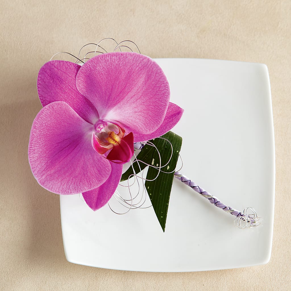 Glorious Boutonniere – The Colonial Florist And Gift Shop, Huntingdon PA