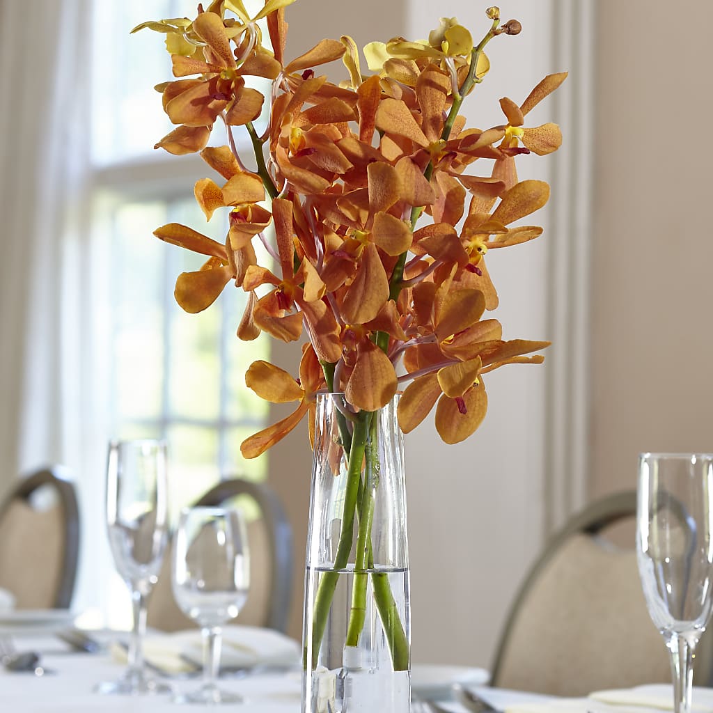 Orange Mokara Bud Vase – The Colonial Florist And Gift Shop, Huntingdon PA