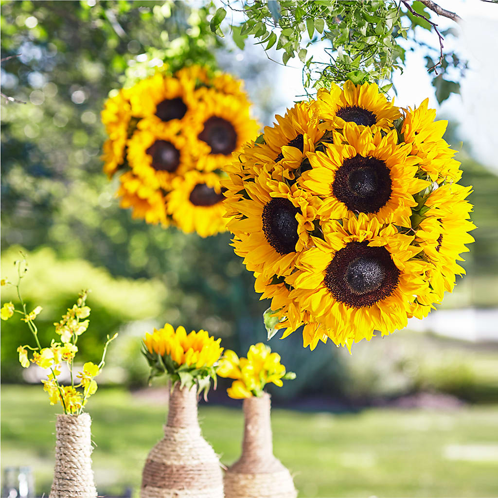 Sublime Garden Hanging Arrangement – The Colonial Florist And Gift Shop, Huntingdon PA