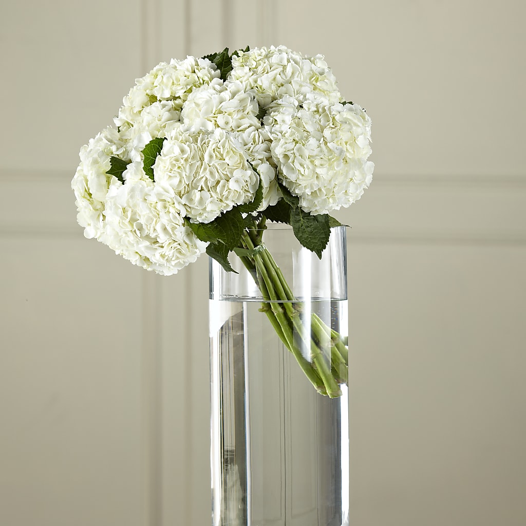 White Hydrangea Hand-Tied Bouquet – The Colonial Florist And Gift Shop, Huntingdon PA