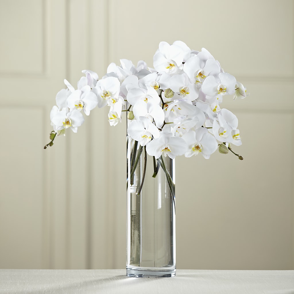 White Phalaenopsis Bouquet – The Colonial Florist And Gift Shop, Huntingdon PA