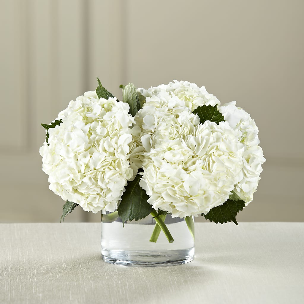 White Hydrangea Bouquet – The Colonial Florist And Gift Shop, Huntingdon PA