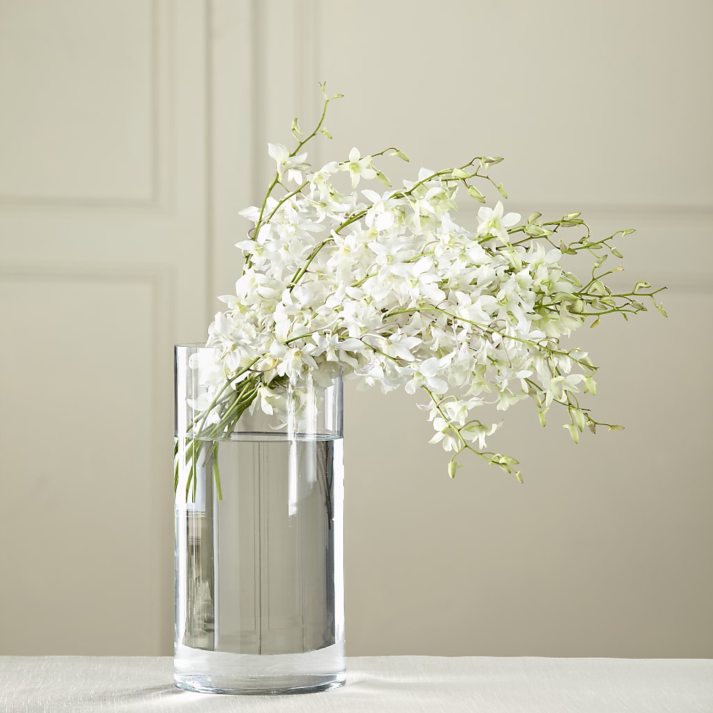 White Dendrobium Bouquet – The Colonial Florist And Gift Shop, Huntingdon PA