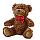 Adorable Plush Bear –  The Colonial Florist And Gift Shop, Huntingdon PA