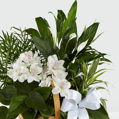 Peace & Serenity Dishgarden –  The Colonial Florist And Gift Shop, Huntingdon PA