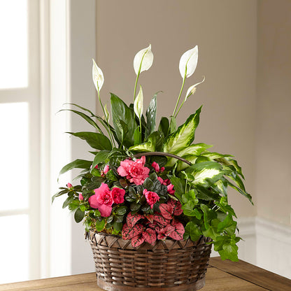 Dream in Pink Dishgarden –  The Colonial Florist And Gift Shop, Huntingdon PA