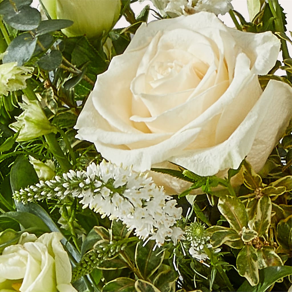 Cashmere Bouquet –  The Colonial Florist And Gift Shop, Huntingdon PA