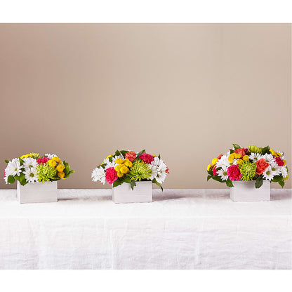 Sorbet Bouquet –  The Colonial Florist And Gift Shop, Huntingdon PA
