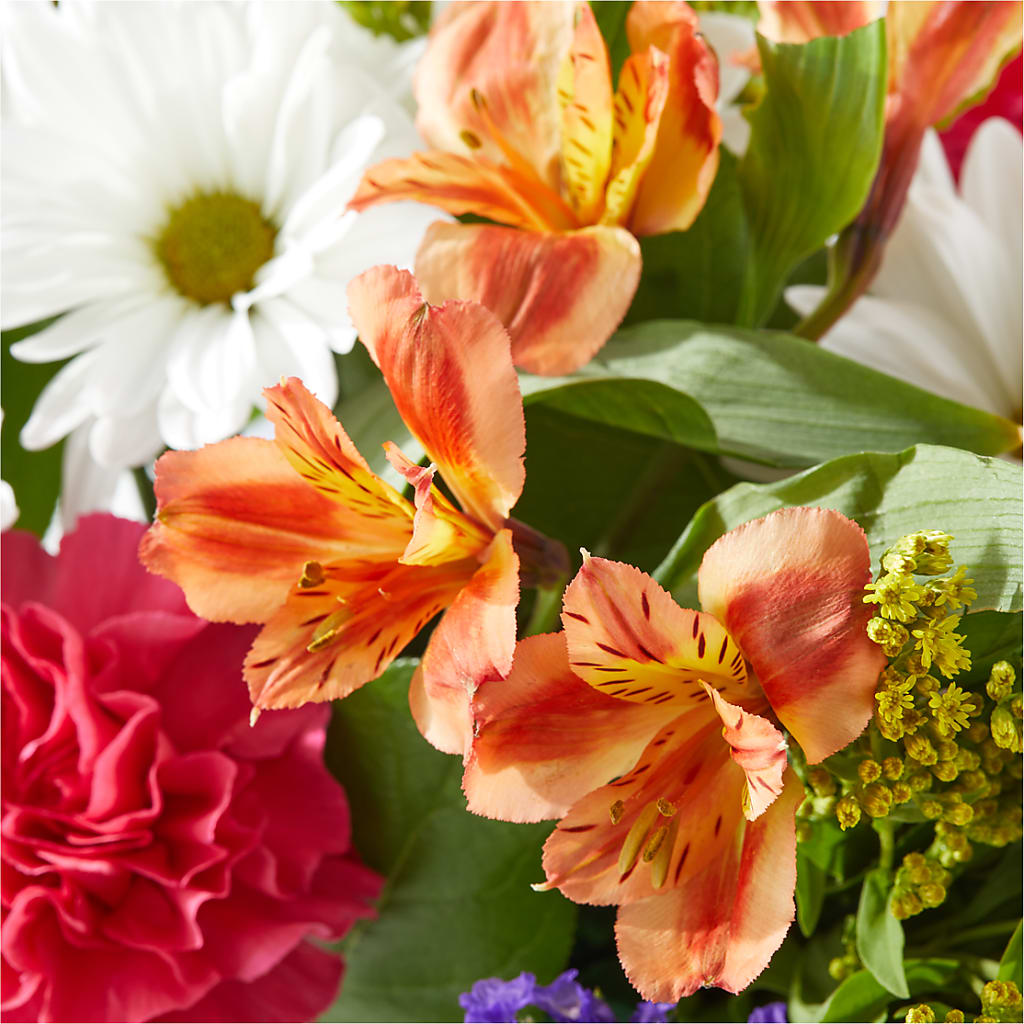 Oopsie Daisy Box Bouquet –  The Colonial Florist And Gift Shop, Huntingdon PA