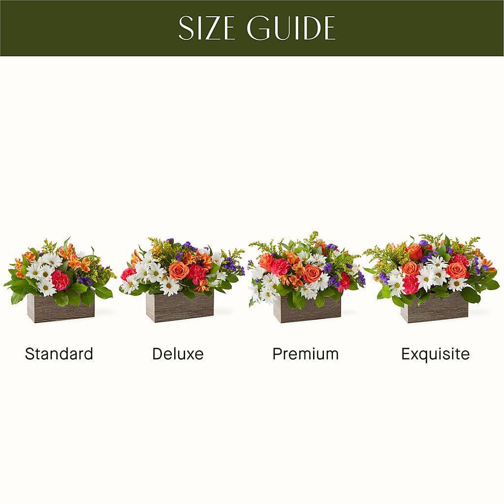 Oopsie Daisy Box Bouquet –  The Colonial Florist And Gift Shop, Huntingdon PA