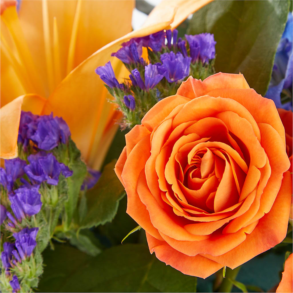 Radiant Citrus Box Bouquet –  The Colonial Florist And Gift Shop, Huntingdon PA