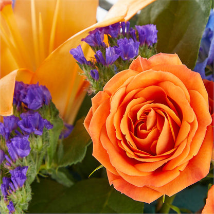 Radiant Citrus Box Bouquet –  The Colonial Florist And Gift Shop, Huntingdon PA