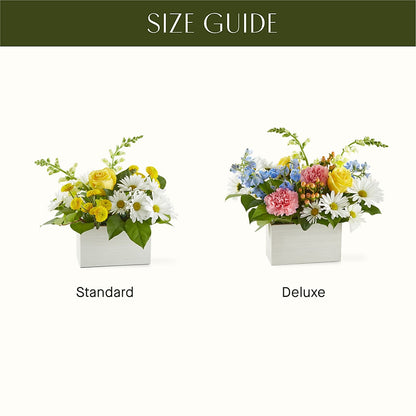 Sun Salutation Box Bouquet –  The Colonial Florist And Gift Shop, Huntingdon PA