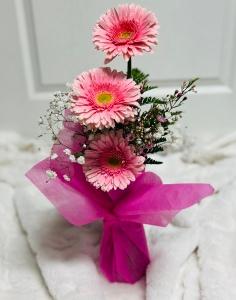 Colonials Little Something-Something Pink –  The Colonial Florist And Gift Shop, Huntingdon PA