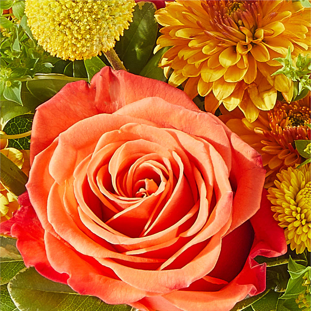 Gourdgeous Pumpkin –  The Colonial Florist And Gift Shop, Huntingdon PA