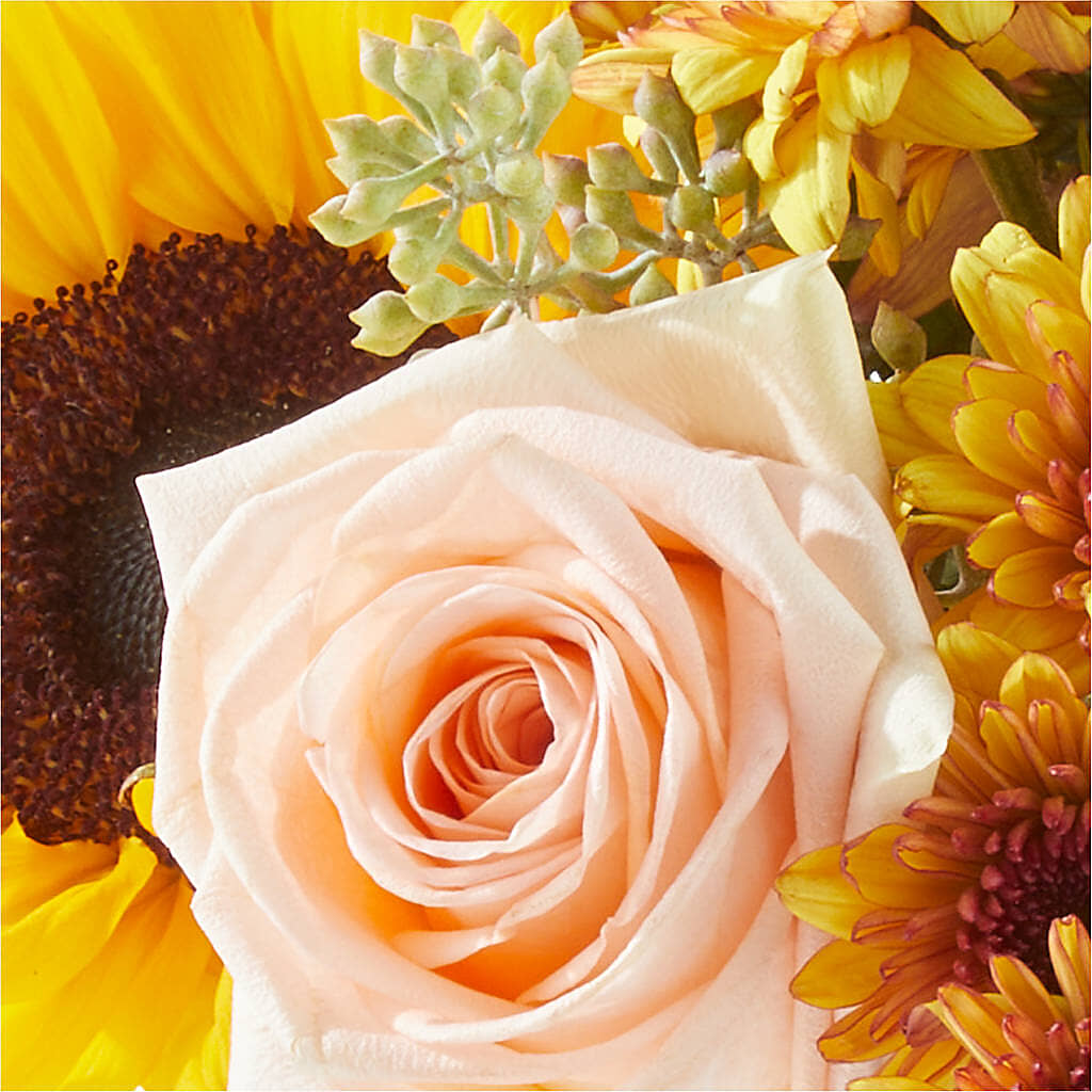 Pumpkin to Talk About Bouquet –  The Colonial Florist And Gift Shop, Huntingdon PA