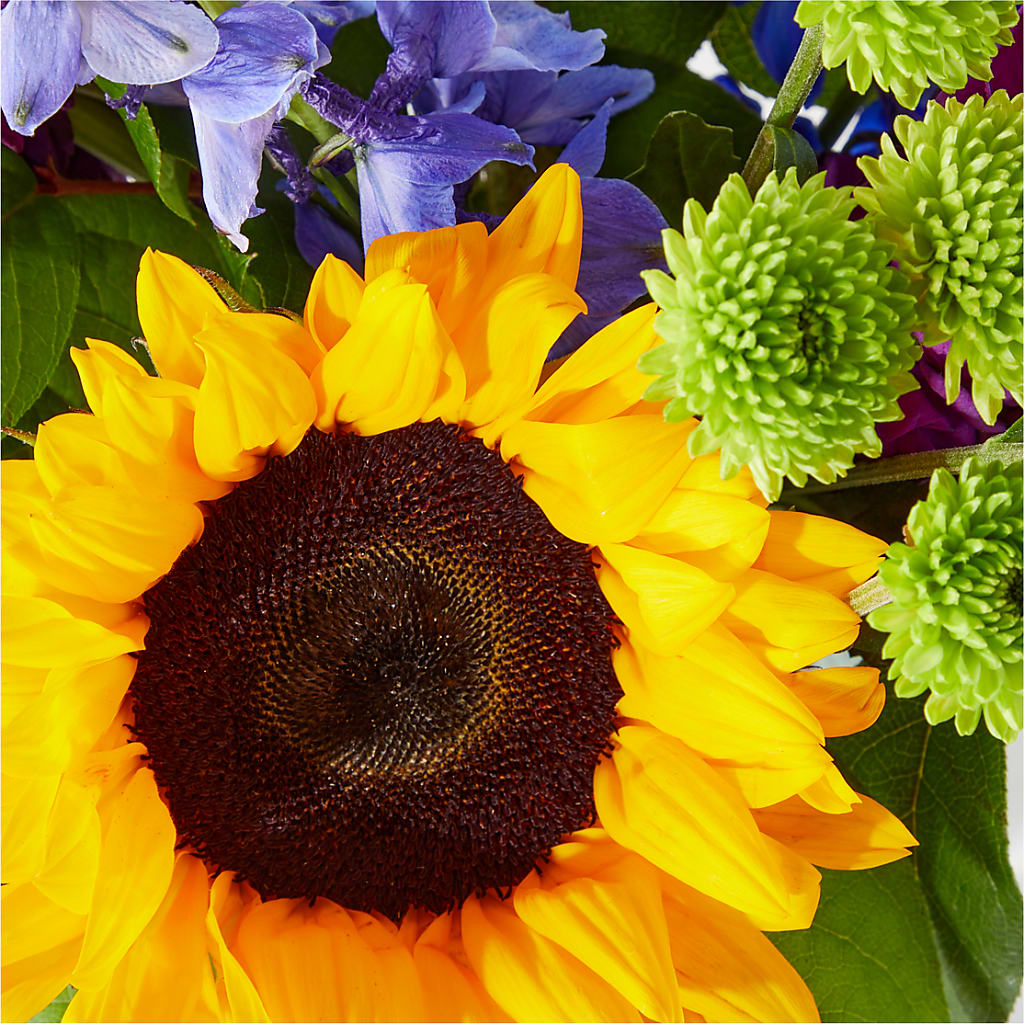 Catching Rays Bouquet –  The Colonial Florist And Gift Shop, Huntingdon PA