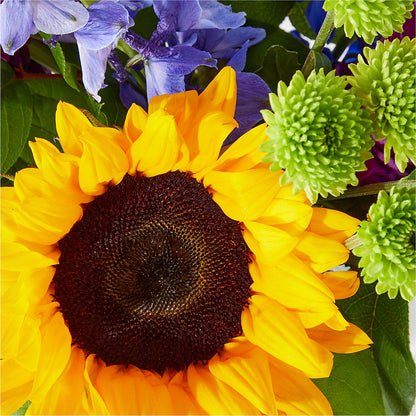 Catching Rays Bouquet –  The Colonial Florist And Gift Shop, Huntingdon PA