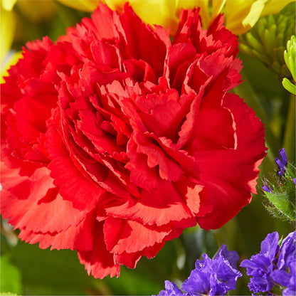 Brighter Days Bouquet –  The Colonial Florist And Gift Shop, Huntingdon PA
