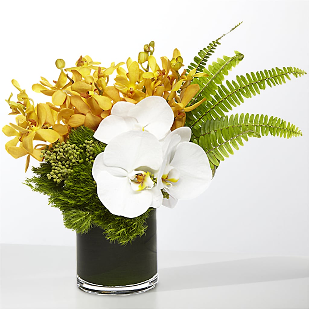 The Tropics –  The Colonial Florist And Gift Shop, Huntingdon PA