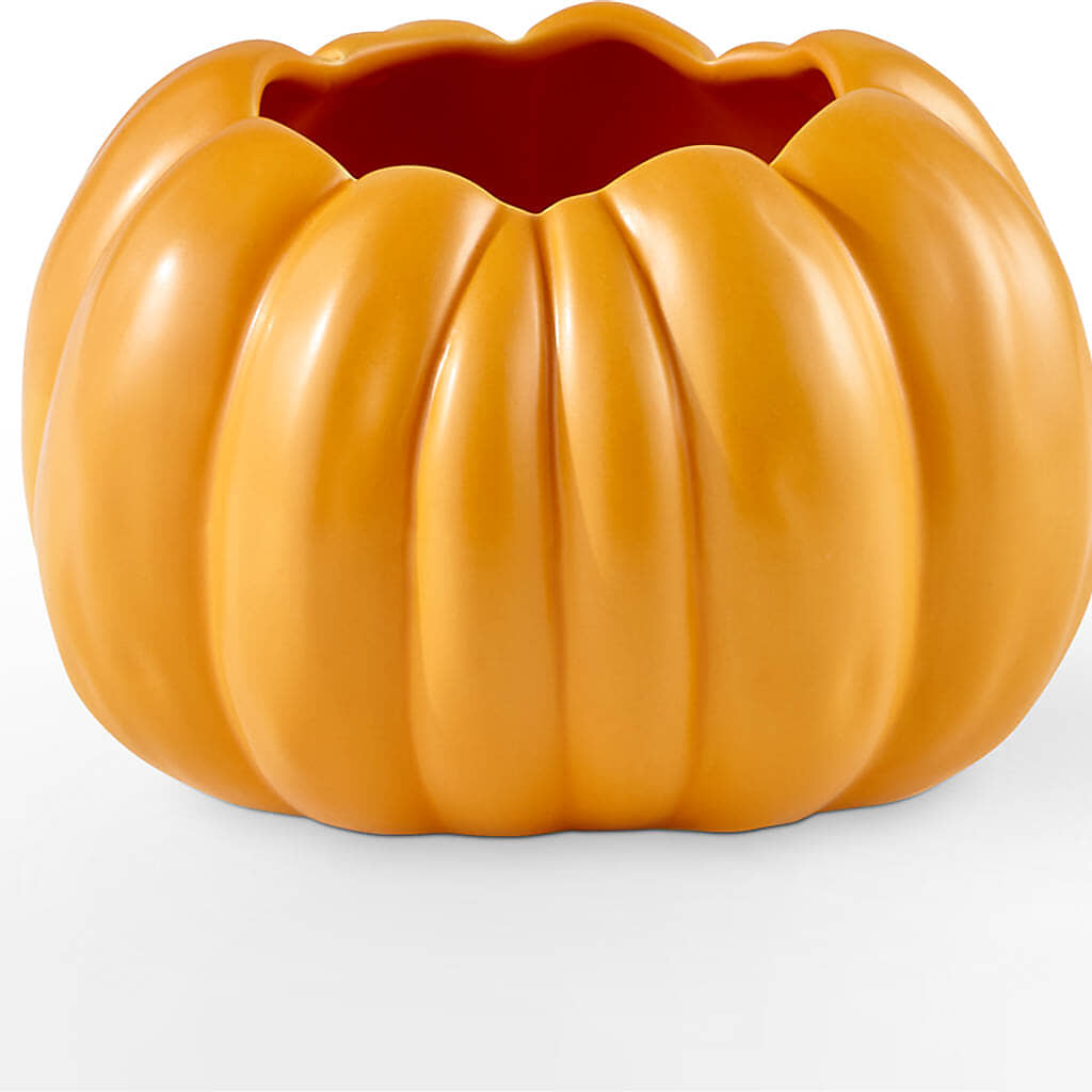 Golden Gourd Pumpkin Bouquet –  The Colonial Florist And Gift Shop, Huntingdon PA