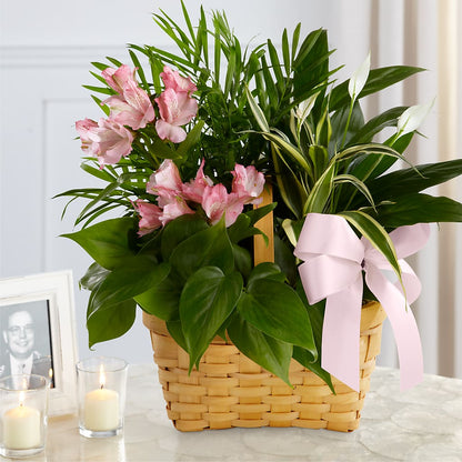Living Spirit Dishgarden –  The Colonial Florist And Gift Shop, Huntingdon PA