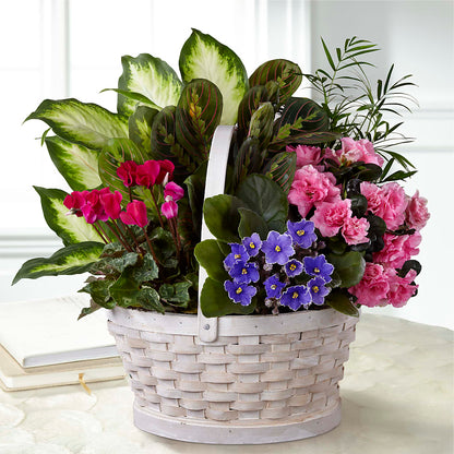 Peaceful Garden Planter –  The Colonial Florist And Gift Shop, Huntingdon PA