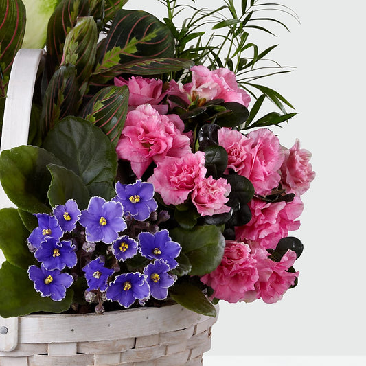 Peaceful Garden Planter –  The Colonial Florist And Gift Shop, Huntingdon PA