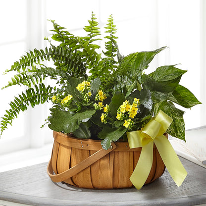 Always Dear Dishgarden –  The Colonial Florist And Gift Shop, Huntingdon PA
