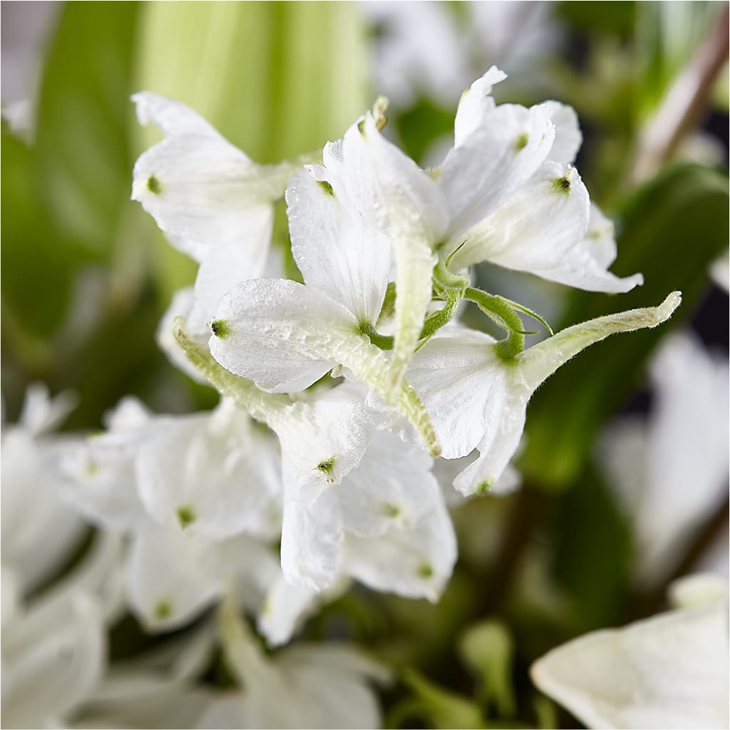 Classic Ivory – A Florist Original –  The Colonial Florist And Gift Shop, Huntingdon PA
